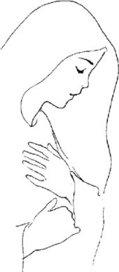 Ogłoszenia parafialne II Niedziela Adwentu